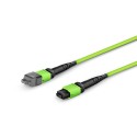 Multimode MPO-12 (Female) to MPO-12 (Female) Trunk Cable (12 Fiber, 50/125 OM5, Type B, LSZH)