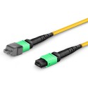 Single Mode MPO-12 (Female) to MPO-12 (Female) Trunk Cable (12 Fiber, 9/125 OS2, Type B, LSZH)