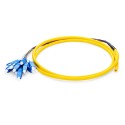 OS1 9/125 Singlemode 12-Fiber Distribution Fiber Optic Pigtail