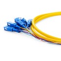 OS2 9/125 Singlemode 12-Fiber Distribution Fiber Optic Pigtail